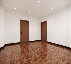 Spottiswoode Park (D2), Apartment #566521901